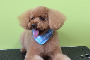 ９月のお友達☆