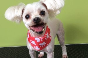 ９月のお友達☆