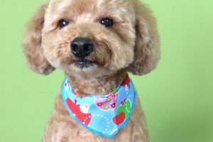 ９月のお友達☆