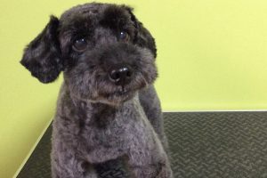 ９月のお友達☆