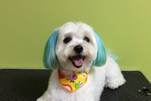 ９月のお友達☆