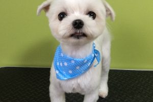 ９月のお友達☆