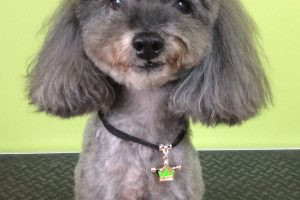 ９月のお友達☆