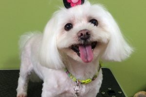 ９月のお友達☆