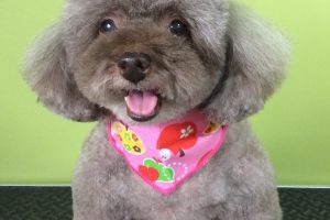 ９月のお友達☆