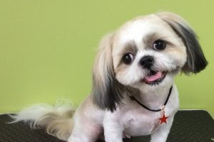 ９月のお友達☆