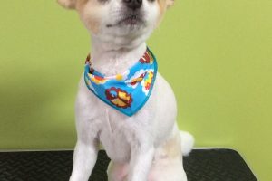 ９月のお友達☆