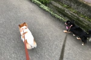 ９月のお友達&お泊り☆