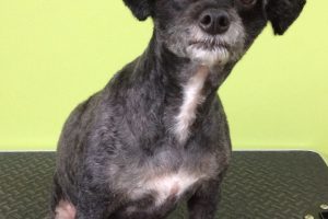 ９月のお友達☆