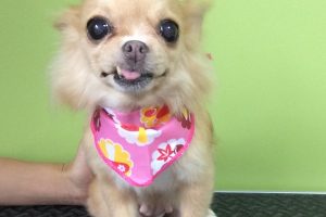 ９月のお友達☆