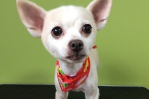 ９月のお友達☆