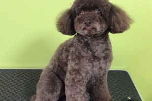 ９月のお友達☆