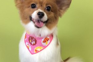 10月のお友達☆