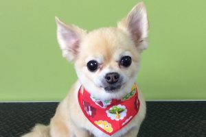 10月のお友達☆