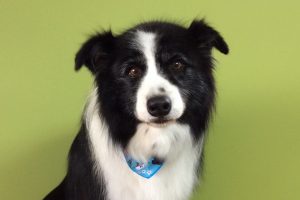 10月のお友達☆