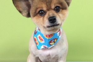 10月のお友達☆