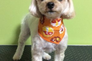 10月のお友達☆