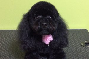 10月のお友達☆