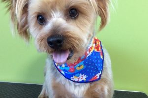 10月のお友達☆