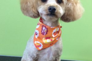 10月のお友達☆