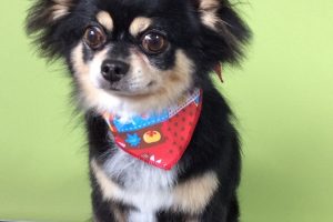 10月のお友達☆