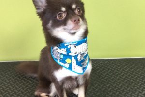 10月のお友達☆