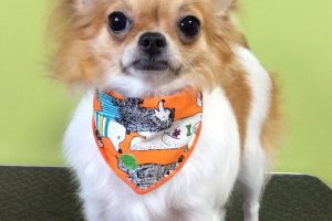 10月のお友達☆