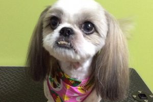 10月のお友達☆