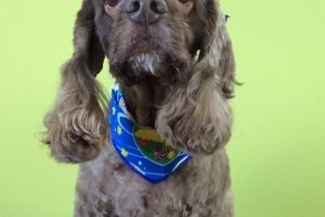 10月のお友達☆