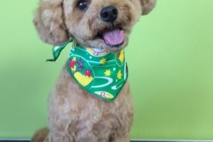 10月のお友達☆