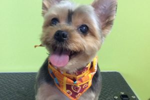 10月のお友達☆