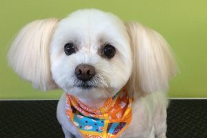 10月のお友達☆