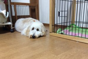 10月のお友達☆