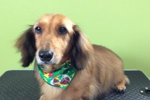 10月のお友達☆