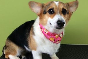 10月のお友達☆