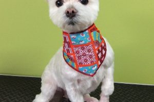 10月のお友達☆