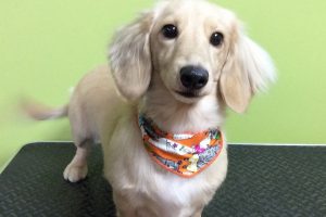 10月のお友達☆