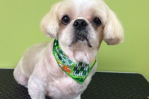 10月のお友達☆