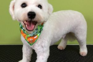 10月のお友達☆