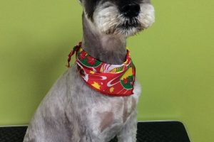 10月のお友達☆