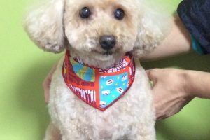 10月のお友達☆