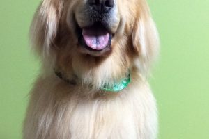 10月のお友達☆