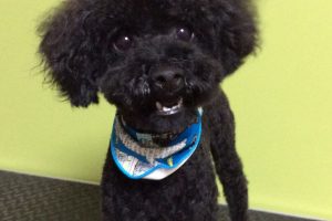 10月のお友達☆