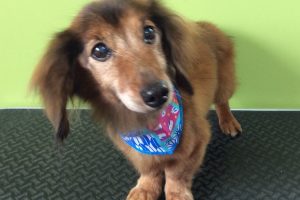 10月のお友達☆