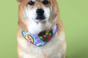 10月のお友達☆