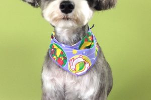 10月のお友達☆