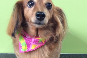 10月のお友達☆