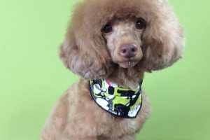 10月のお友達☆