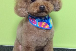 10月のお友達☆