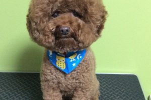 10月のお友達☆